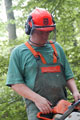 Click to see it big Ich mit Kettensäge, Impression aus dem Wald